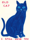 Old Cat I Still Love You